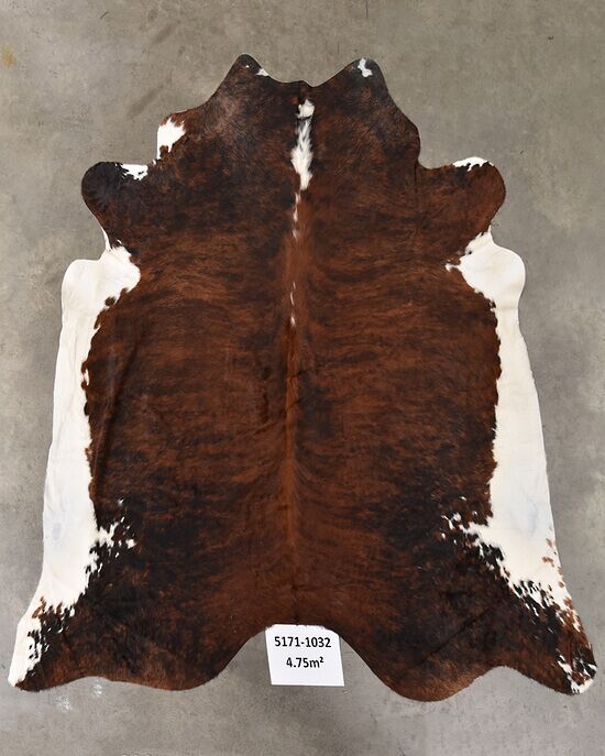 COW HIDES MEDIUM - Image 4