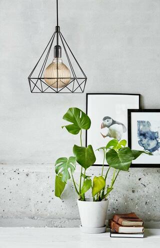 NORDLUX PENDANT AIRE BLACK - Image 5